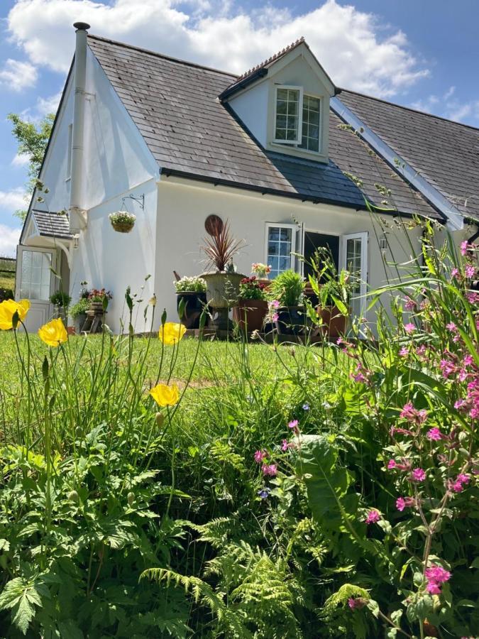 Cargibbitt Annexe Villa Liskeard Exteriör bild